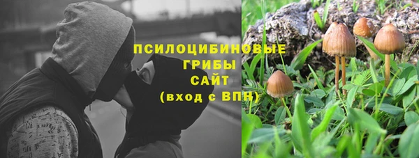 стаф Алексеевка