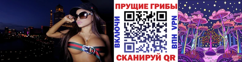 купить наркотик  Челябинск  Псилоцибиновые грибы MAGIC MUSHROOMS 